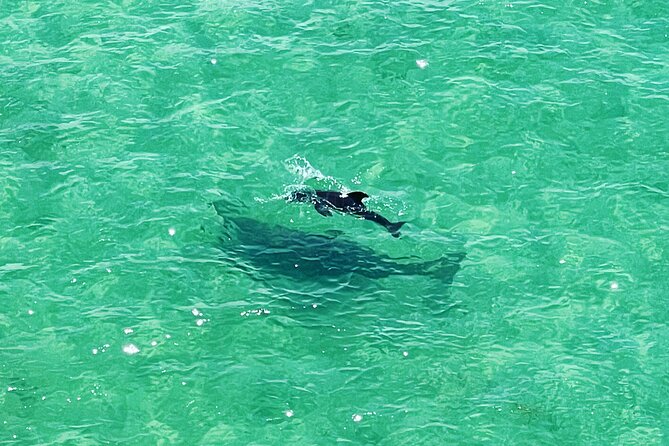 Kayaking Clear Through Clearwater - Directions