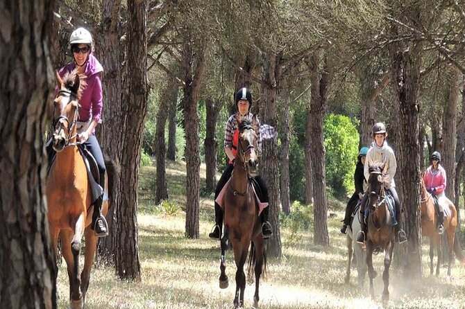 Kemer Horse Safari Experience With Free Hotel Transfer - Authentic Traveler Reviews and Ratings