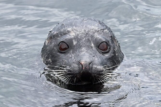 Ketchikan Private Wildlife and Native Village Tour - Directions