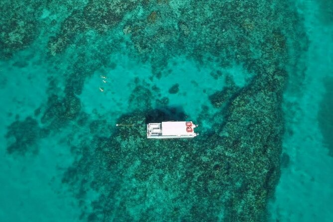 Key Largo Half-Day Snorkeling Tour - Common Questions