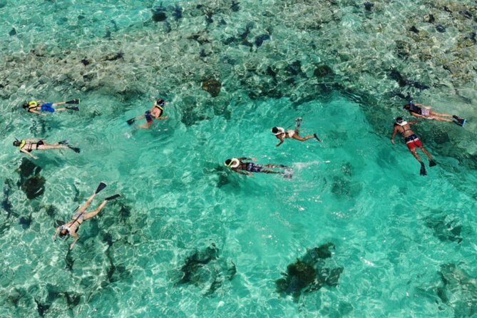Key West: Dolphin Watching Cruise & Snorkeling Unlimited Beer & Soda - Common Questions