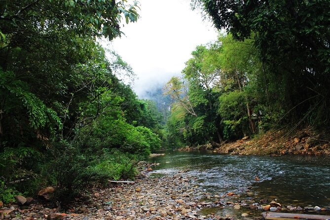 Khao Sok National Park Hiking and Canoeing Day Tour From Khao Lak - How to Book