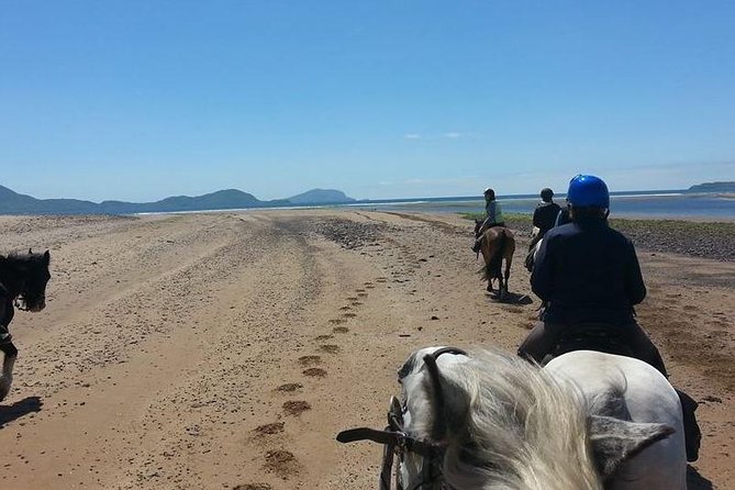 Killarney National Park Horseback Ride. Co Kerry. Guided. 2 Hours. - Directions