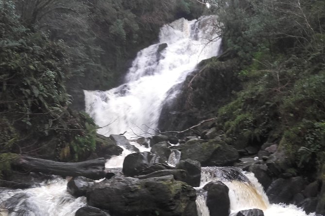 Killarney Valley & National Park Tour - Common Questions