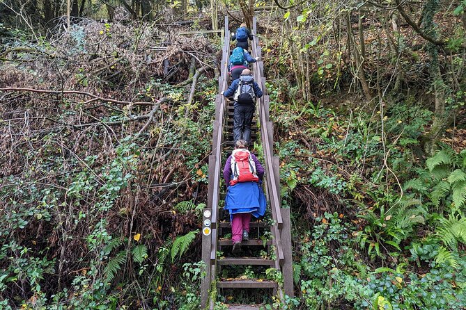 King Arthurs Wye Valley River And Forest Hike From Cardiff - Wildlife Spotting Opportunities