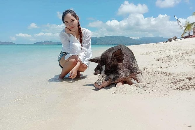 Koh Madsum and Koh Tan Snorkeling Trip By Speedboat From Koh Samui - Tips and Recommendations
