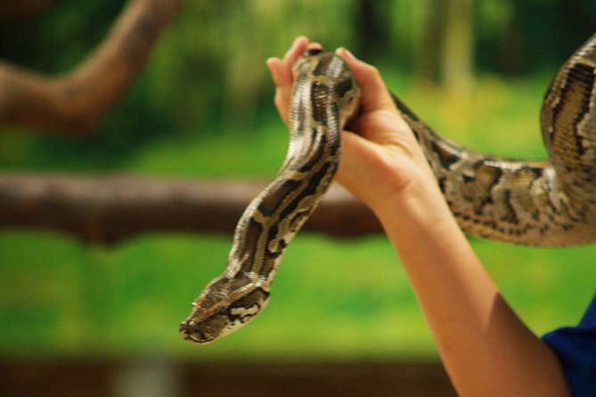 Koh Samui Jungle Safari Eco Tour (Include Lunch) - How to Book
