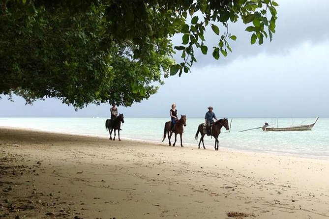 Krabi Horse Riding at The Beach - Lowest Price Guarantee
