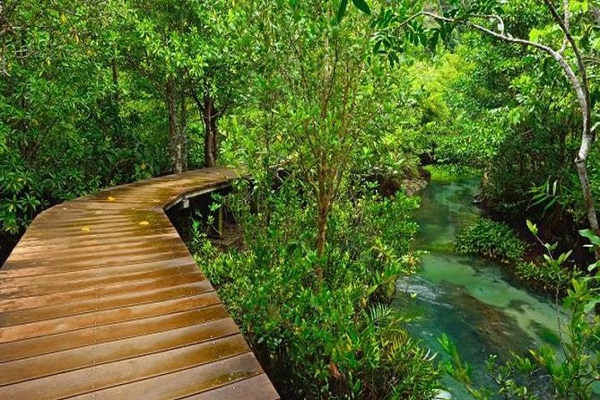 Krabi Jungle Tour:Krabi Hot Springs Waterfall,Emerald Pool and Tiger Cave Temple - Tour Pricing