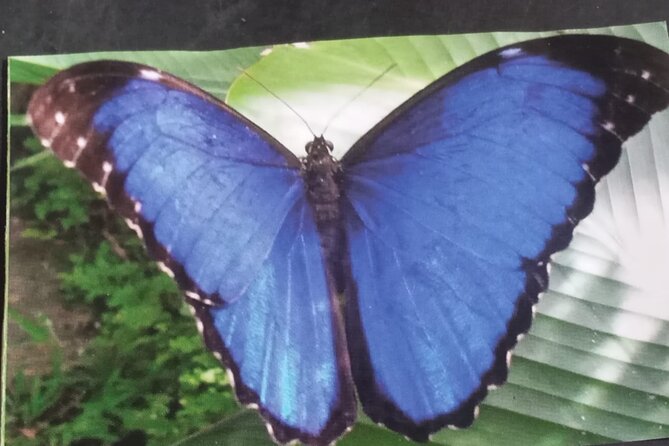 Kukamas Tribe, Butterfly Preserve & Sport Piranha Fishing - All Tickets Included - Customer Support