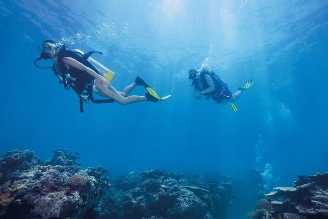 Kusadasi/Selcuk Scuba Diving Adventure With Lunch & Transfer - The Sum Up