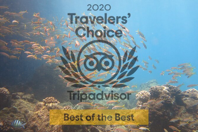 Lahaina Small-group Scuba Review Dive  - Maui - Important Directions