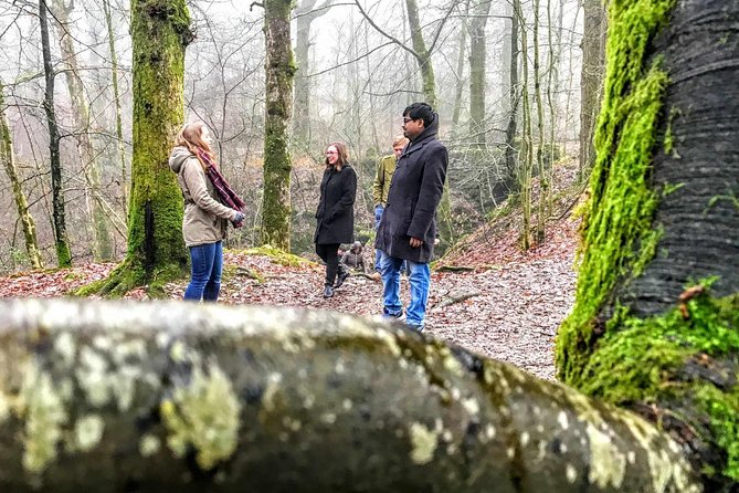 Lake District Adventure Sightseeing Day Trip From Liverpool - Scenic Routes and Landmarks