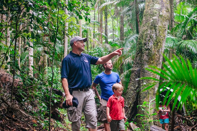 Lamington National Park, OReillys & Vineyard Tour - Additional Information