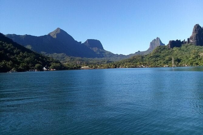 Land and Sea Cultural Tour to Discover Traditions, Heritage and the Lagoon - Copyright and Product Code