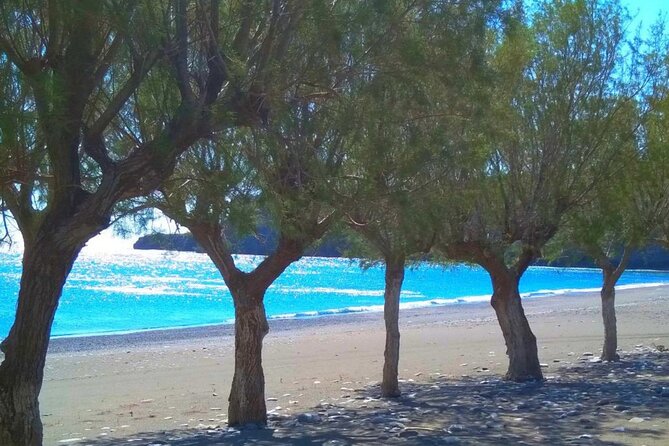 Land Rover Safari: Tripitis Gorge and Beach, South Crete - Common Questions