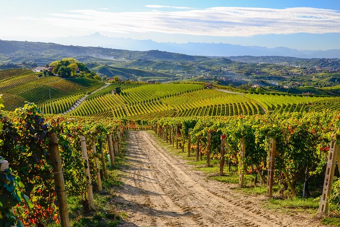 Langhe Del Barolo" Private E-Bike Tour - Asphalt and Dirt Road - Scenic Stops and Points of Interest