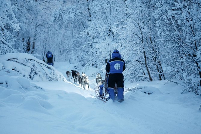 Lapland Husky Sled Safari From Tromso - Common Questions