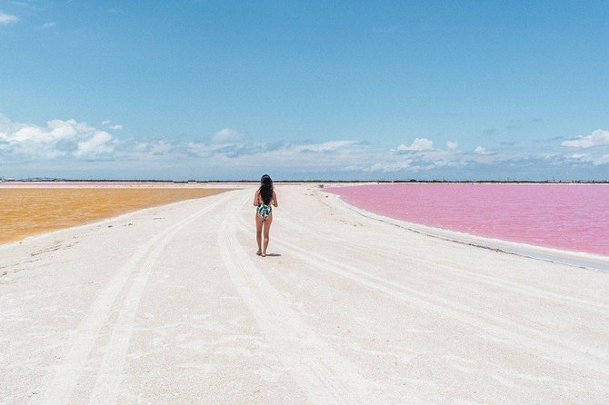 Las Coloradas Pink Lake Tour With Ría Lagartos Nature Reserve  - Cancun - Lack of Information and Knowledgeable Guides