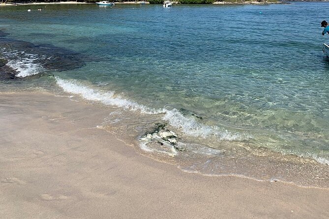 Las Gatas Kayaking and Snorkeling Tour - The Sum Up