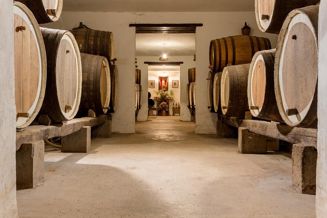 Las Palmas Shore Excursion: Private Volcanic Caldera, Teror Village and Wine-Tasting Tour - Common Questions