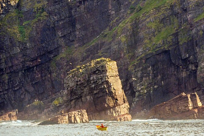 Late Season Puffin & Scenic Coastal Cruise - Inclusions