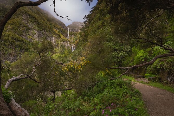 Levada Rabaçal and 25 Fountains Walking Tour - Tour Overview