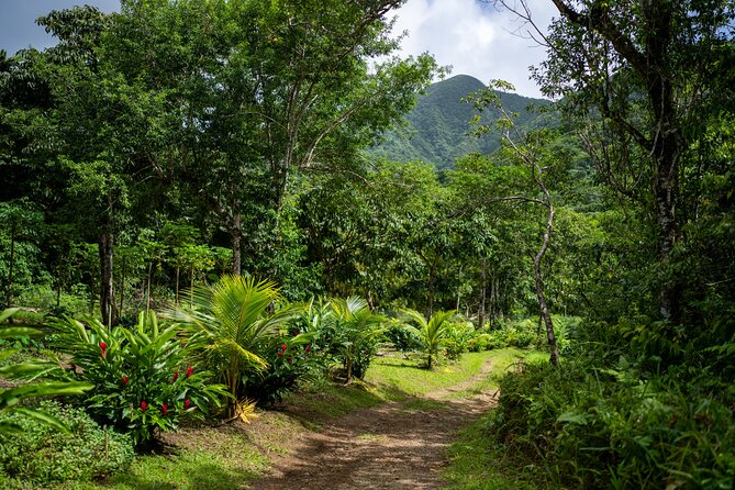 Liamuiga Natural Farm Tour - Inclusions