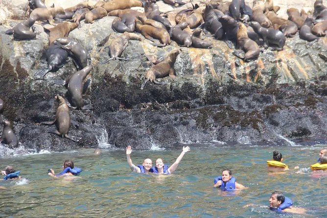 Lima to Palomino Islands Half-Day Sightseeing Cruise - Booking and Pricing Details