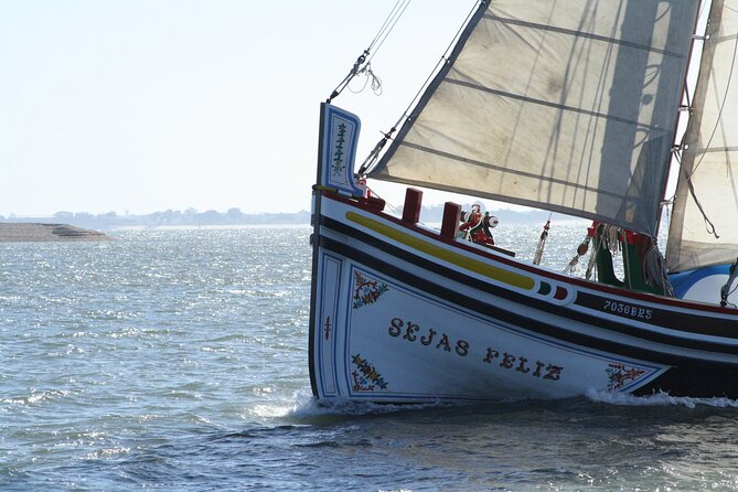 Lisbon Traditional Boats - Express Cruise - 45min - The Sum Up
