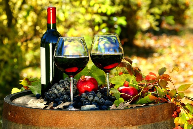 Livorno Shore Excursion: Chianti and Tuscany Countryside Private Wine Tour - Itinerary Highlights