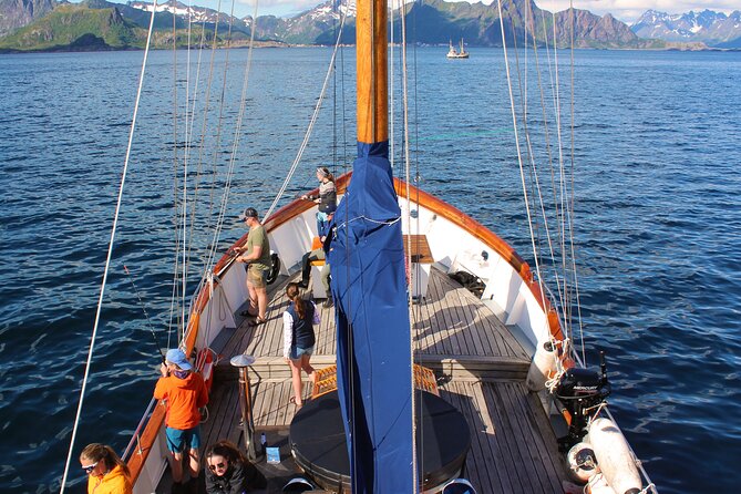 Lofoten Islands Luxury Fishing Trip With Dinner From Svolvær - Fishing Equipment Provided