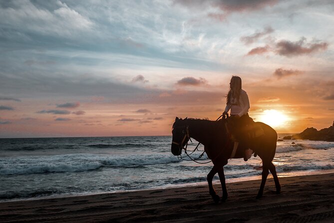Los Cabos ATV and Pacific Horseback Riding Combo Tour - Round-Trip Hotel Transport