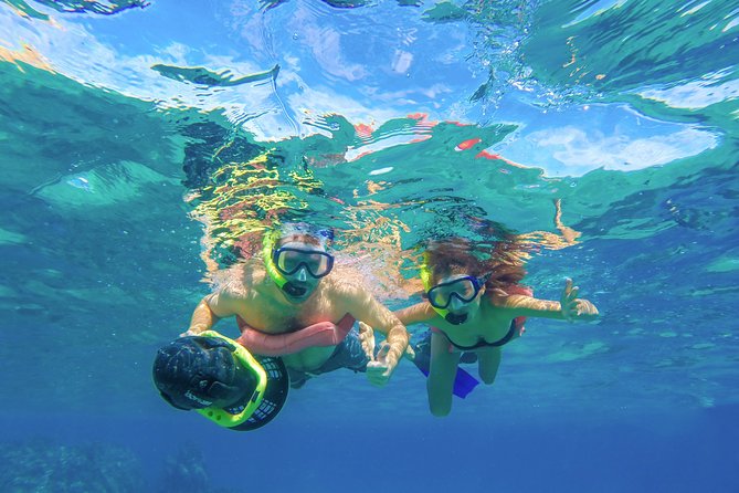 Los Cabos Sea Adventure: Snorkeling, Kayaking and Stand-Up Paddleboarding - Cancellation Policy