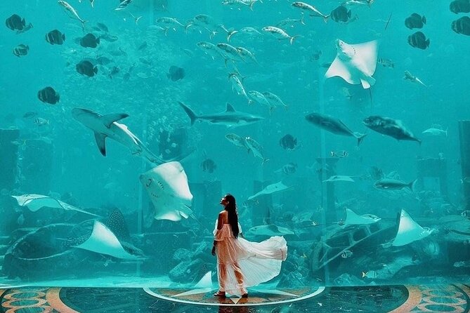 Lost Chamber Aquarium in Atlantis, Dubai - Cancellation Policy