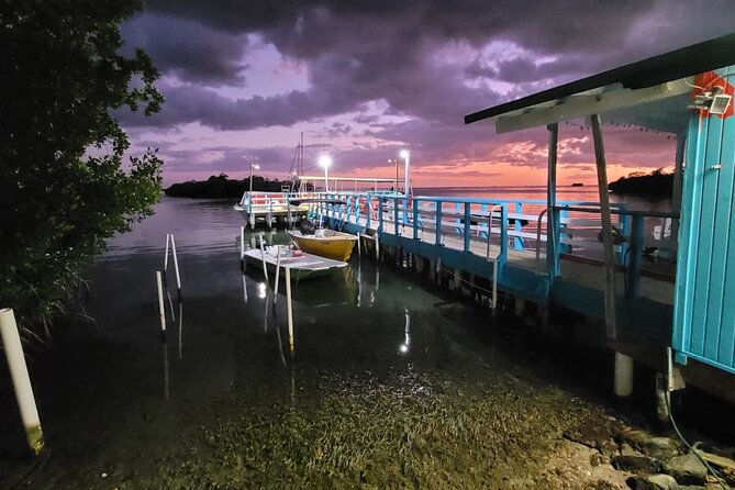 Luminous One Puerto Rico: Bio Bay Boat Ride With Swimming - Bioluminescence Visibility Factors