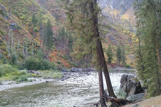 Luxury Leavenworth Day Trip Through the Cascade Mountains - Positive Aspects of the Tour