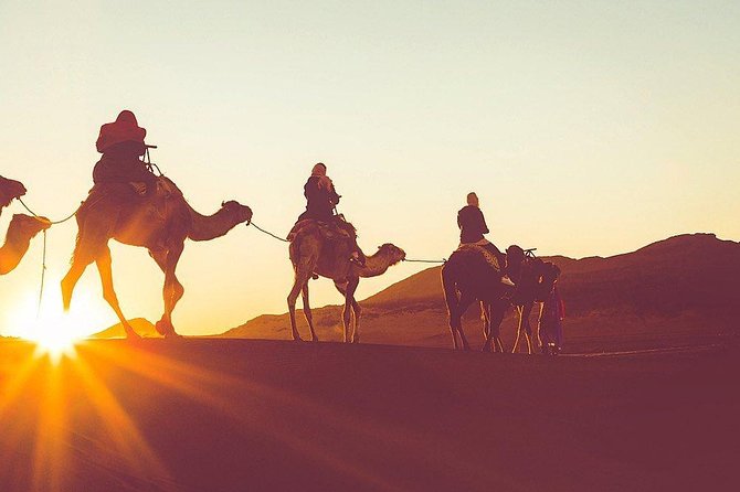 Luxury Overnight Sahara Desert Trip Fez Back to Fez or Marrakech - Pricing and Tour Operator