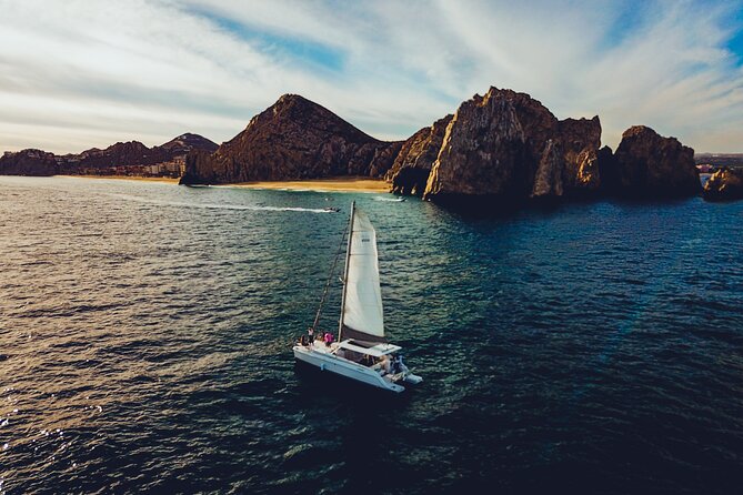 Luxury Sailing Whale Watch and The Arch (Dec 15 - Apr 15) - Traveler Reviews and Photos