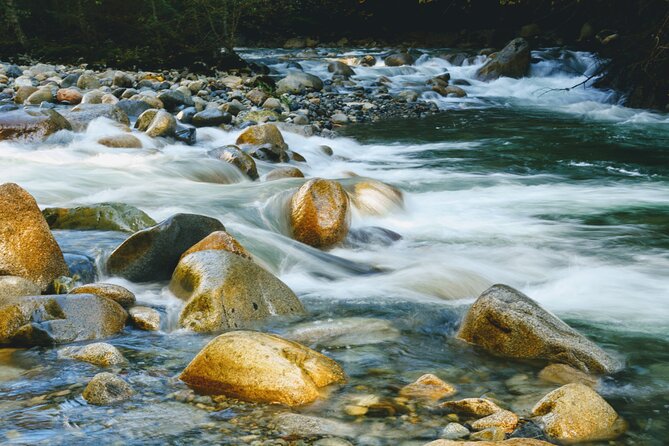 Lynn Canyon Suspension Bridge & Park Photography - Reviews