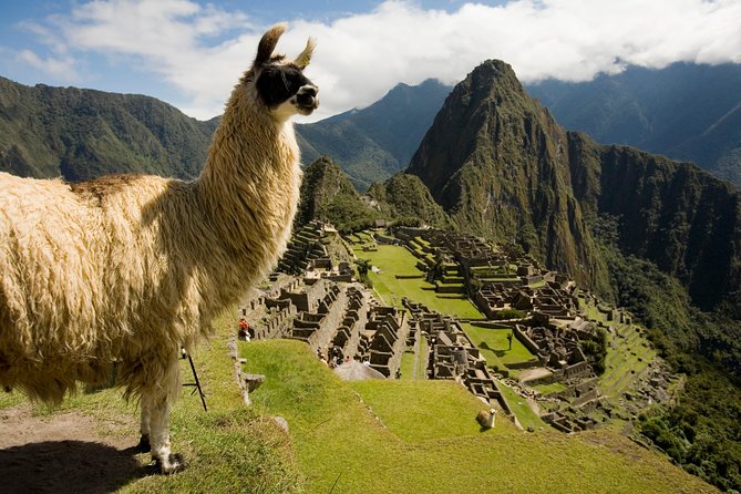 Machu Picchu Private Guided Tour From Aguas Calientes - The Sum Up