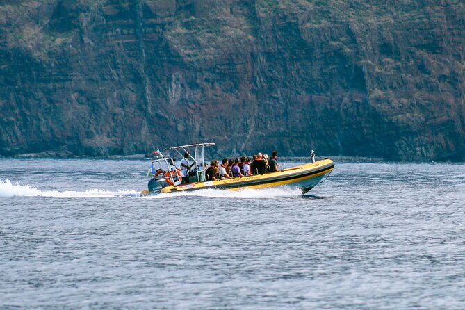 Madeira Dolphin & Whale Watching Tour - Cancellation Policy and Customer Reviews