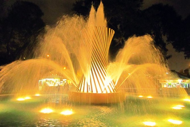 Magic Water Circuit With Dinner - Positive Experiences, Negative Experiences, Recommendations