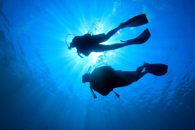 Mahahual Scuba Diving: 2-Tank Reef Dive  - Costa Maya - Additional Information