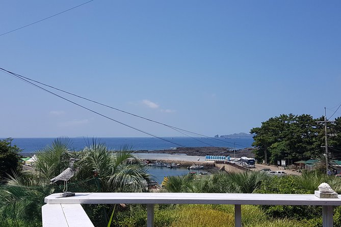 Making Jeju Pony Doll at Peaceful Seaside Cafe - Common Questions