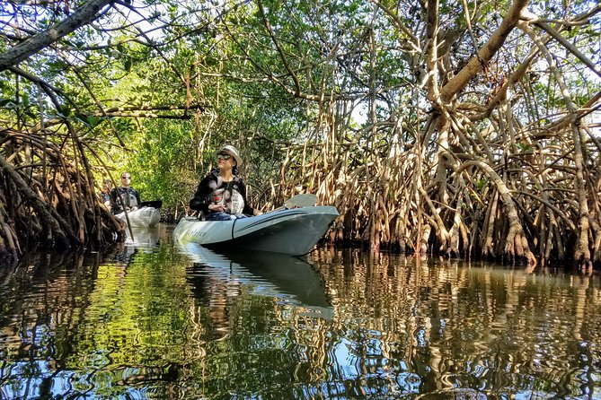 Mangrove Tunnels, Manatee, and Dolphin Sunset Kayak Tour With Fin Expeditions - Directions