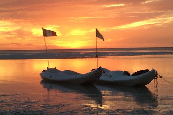 Mangroves Paddling Tour - Meeting and Logistics