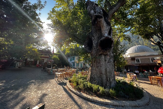 Marmaris Turkey Private Tour for Nature Lovers - Mountains, Bays, Beaches, and Ruins