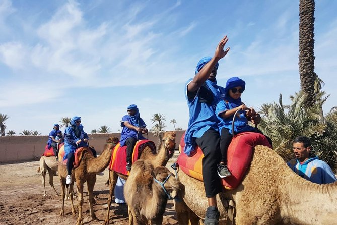 Marrakech Camel Ride & Quad Bike Experience in the Oasis Palmeraie - Reviews and Ratings