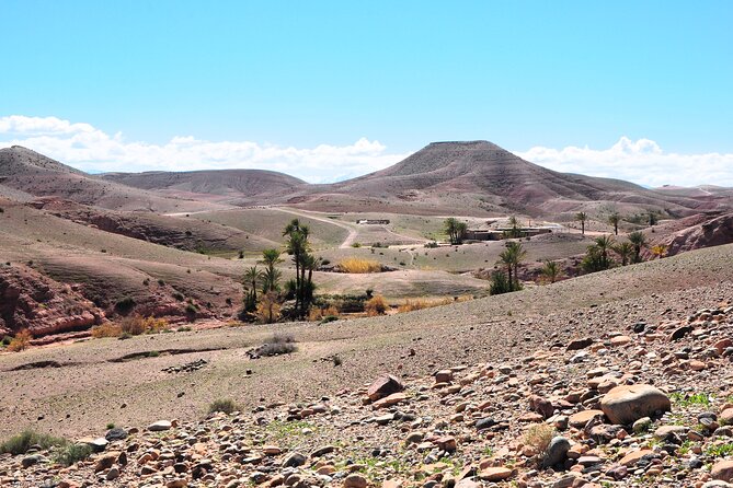 Marrakech Desert Buggy Tour Including Berber Tea Break and Transfer - Traveler Photos and Reviews